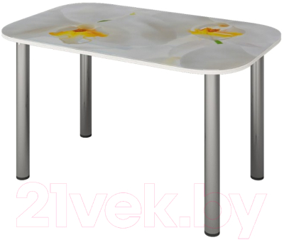 Обеденный стол Senira P-001/01-7194 - фото
