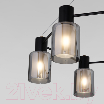 Люстра Евросвет 70219/6