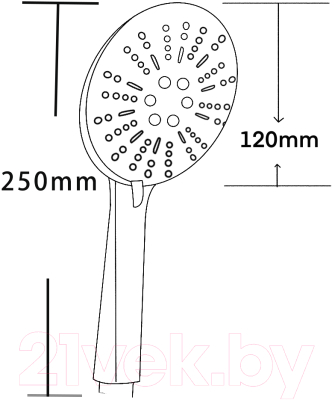 Лейка ручного душа Voda VSP09