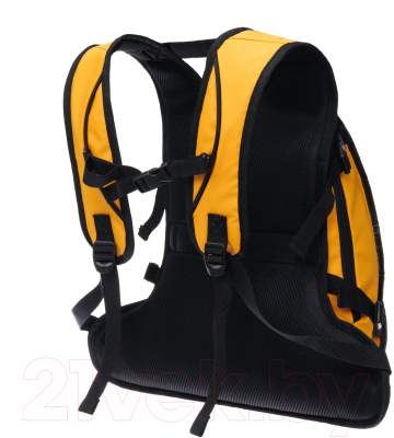 Рюкзак спортивный Torber Mobi / T1809-BY