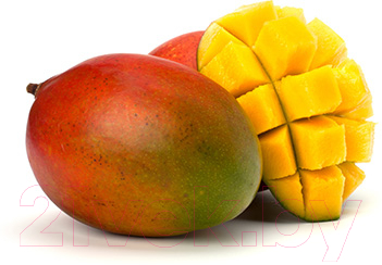 Нож Gefu Пати 13580