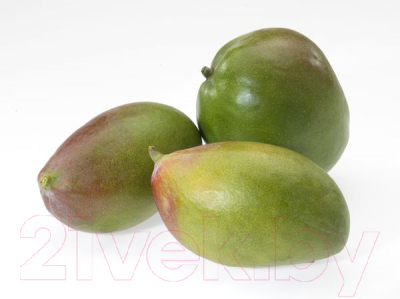 Нож Gefu Пати 13580