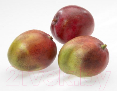 Нож Gefu Пати 13580