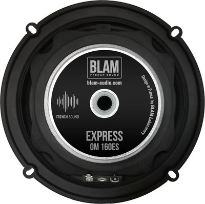 Компонентная АС BLAM OM160ES13