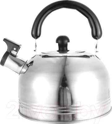 Чайник со свистком Наше не заржавеет Нержавеющий с крышкой - фото