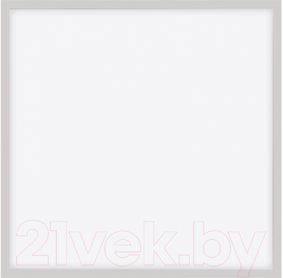 Панель светодиодная Neox ДВО-02-Emergency 4065-Опал / 4690612053042 - фото