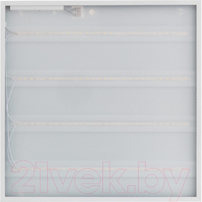 Панель светодиодная Neox ДВО-02-Emergency 3665-Призма / 4690612053028 - фото