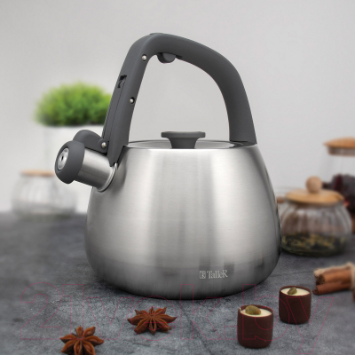 Чайник со свистком TalleR TR-11372