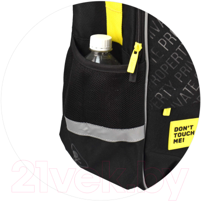 Школьный рюкзак Феникс+ Частная собственность / 64512