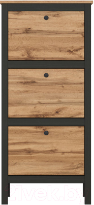 Тумба для обуви Black Red White Loft SFB3B/50 - фото