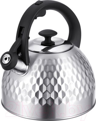 Чайник со свистком Regent Inox 93-TEA-50 - фото