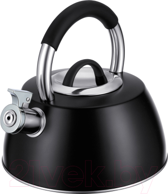 Чайник со свистком Regent Inox 93-TEA-52 - фото