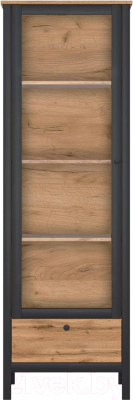 Шкаф с витриной Black Red White Loft REG1W1S - фото
