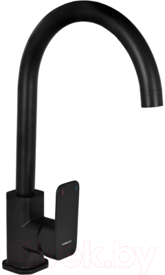 Смеситель Wisent WG4033B-2