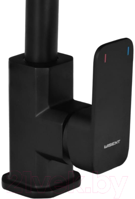 Смеситель Wisent WG4033B-2
