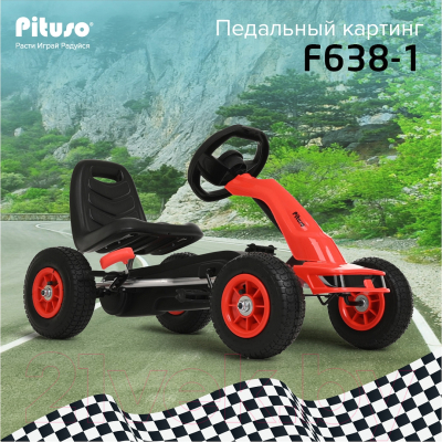 Каталка детская Pituso F638-1