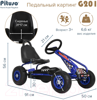Каталка детская Pituso G201