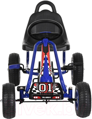 Каталка детская Pituso G201