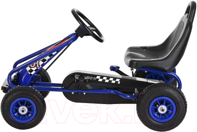 Каталка детская Pituso G201