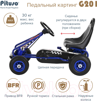 Каталка детская Pituso G201