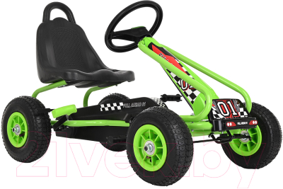 Каталка детская Pituso G201 - фото