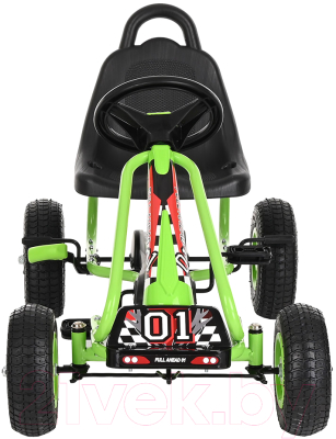 Каталка детская Pituso G201