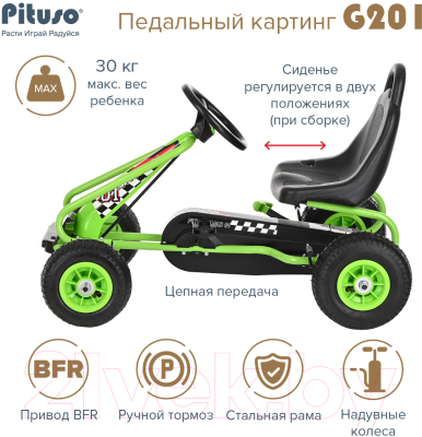 Каталка детская Pituso G201