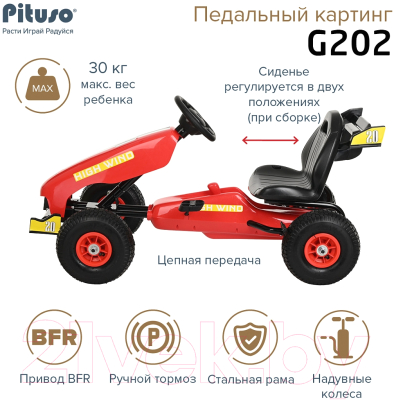 Каталка детская Pituso G202