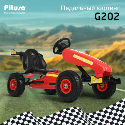 Каталка детская Pituso G202
