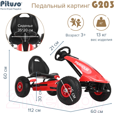 Каталка детская Pituso G203