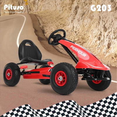 Каталка детская Pituso G203