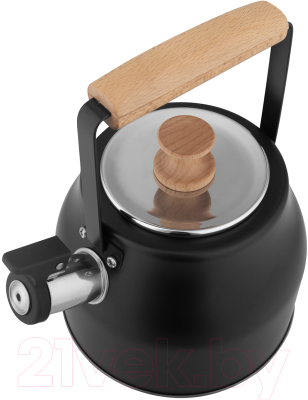 Чайник со свистком Lara LR00-87