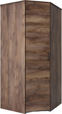 Шкаф MySTAR 1Д ИВ-100.1842-3.00 - фото