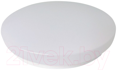 Потолочный светильник LED4U 255-24W - фото