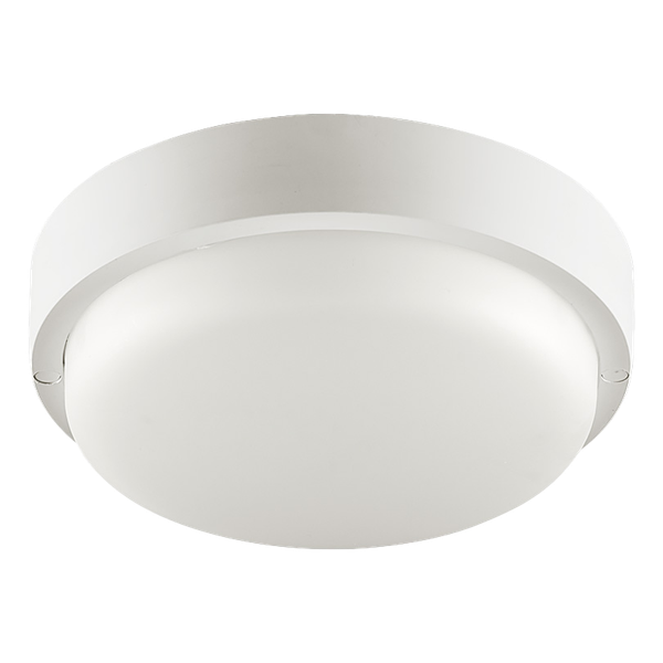 Светильник ЖКХ Wolta LCL04-12W-R41-4K-SBA - фото