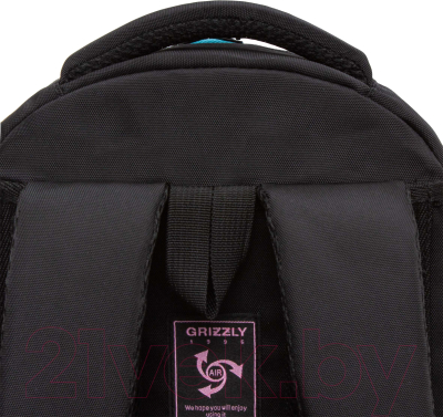 Школьный рюкзак Grizzly RG-461-2