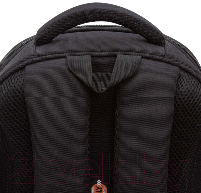 Школьный рюкзак Grizzly RAz-487-9