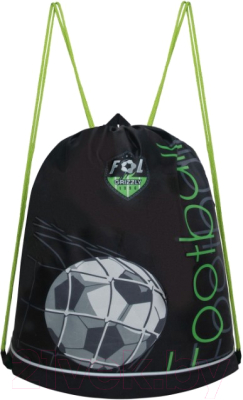 Мешок для обуви Grizzly OM-31-1 - фото