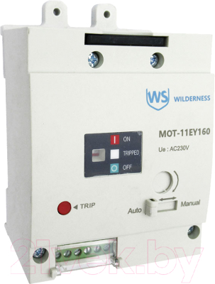 Привод моторный Wilderness Для DAM11EY-160M AC240/DC220В (R) / MOT-11EY160 - фото