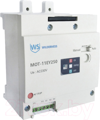 Привод моторный Wilderness Для DAM11EY-250M AC240/DC220В (R) / MOT-11EY250 - фото