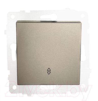 Выключатель Ovivo 600-000213-209 - фото