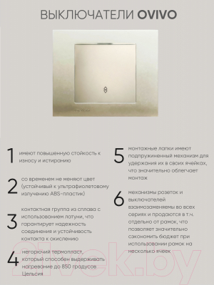 Выключатель Ovivo 600-000213-209