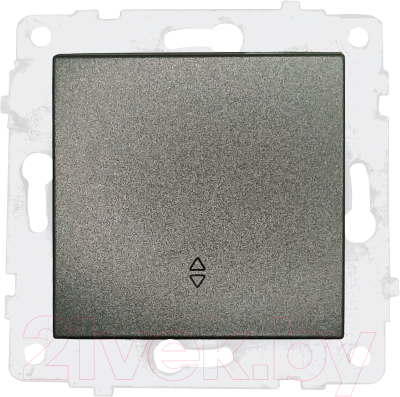 Выключатель Ovivo 600-000211-209 - фото