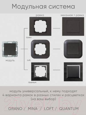 Выключатель Ovivo 600-000211-201