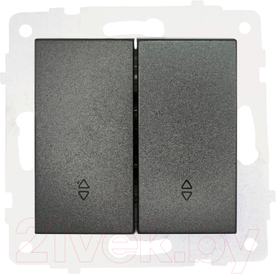 Выключатель Ovivo 600-000211-211 - фото