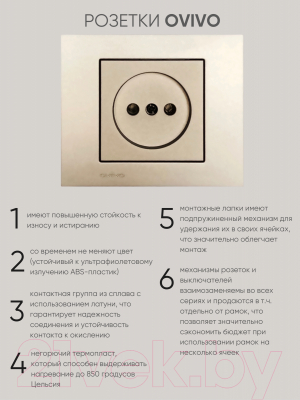 Розетка Ovivo 600-000313-215