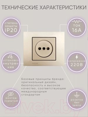 Розетка Ovivo 600-000313-215