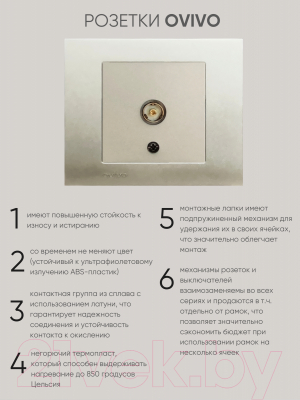 Розетка Ovivo ТВ 600-000313-225