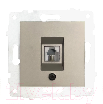 Розетка Ovivo ТФ 600-000313-221 - фото