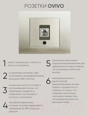 Розетка Ovivo ТФ 600-000313-221